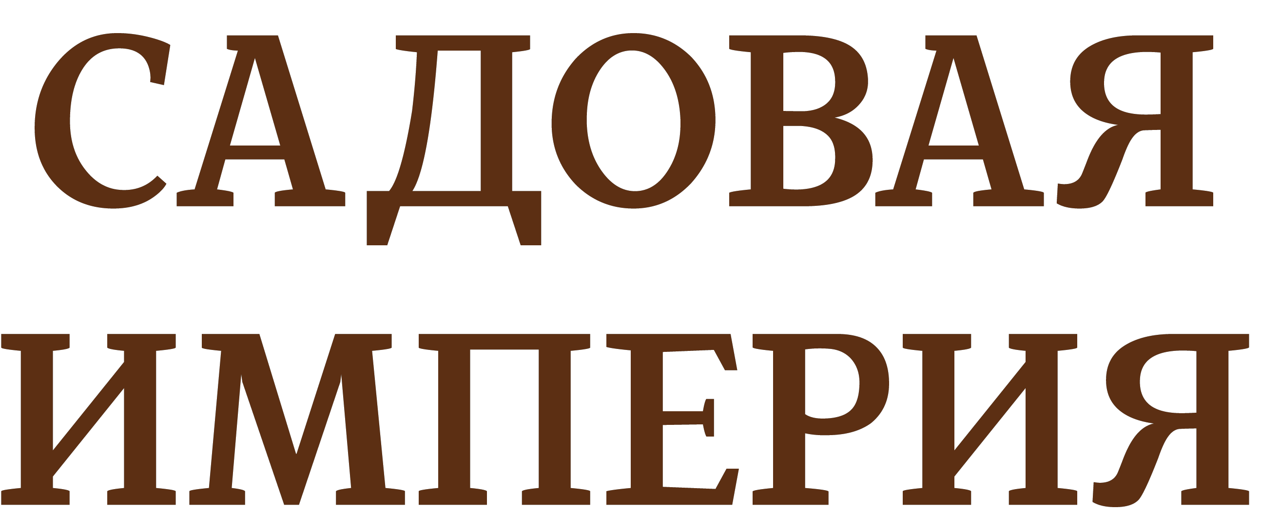logo_text