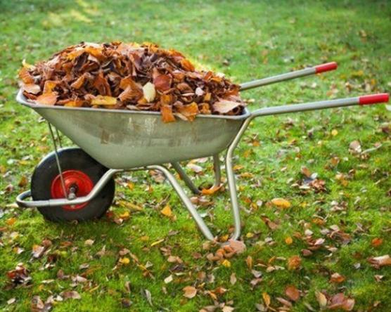 Тележки